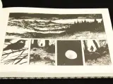 Manu Larcenet – Le Rapport de Brodeck luxe hardcover graphic novel – foto 3 – kavel bij De Kringwinkel, Antwerpen