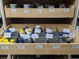 Diverse Supplementen, O.a Mattison, Healthy Origins, Life Extension – foto 4 – kavel bij Onlineveilingmeester, Groningen