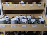 Diverse Supplementen, O.a Mattison, Healthy Origins, Life Extension – foto 5 – kavel bij Onlineveilingmeester, Groningen