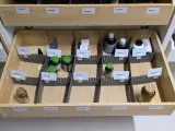Diverse Supplementen, O.a. Mattison, Solgar, Nature's Way – foto 2 – kavel bij Onlineveilingmeester, Groningen
