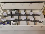 Diverse Supplementen, O.a. Doctor's Best, Now, Quicksilver Scientific – foto 2 – kavel bij Onlineveilingmeester, Groningen