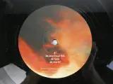 The Dø – Shake Shook Shaken (2014) – Dubbele vinyl LP – foto 14 – kavel bij De Kringwinkel, Heverlee
