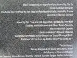 The Dø – Shake Shook Shaken (2014) – Dubbele vinyl LP – foto 6 – kavel bij De Kringwinkel, Heverlee
