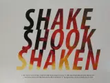 The Dø – Shake Shook Shaken (2014) – Dubbele vinyl LP – foto 8 – kavel bij De Kringwinkel, Heverlee
