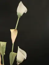Hollywood Regency Botanische staande lamp met Jugendstil invloeden – foto 7 – kavel bij De Kringwinkel, Antwerpen