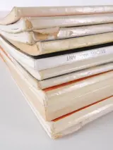 Michel Vaillant stripboeken in het Nederlands – foto 20 – kavel bij De Kringwinkel, Heverlee
