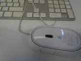 Apple iMac G4 " bolletje" met toetsenbord en muis – foto 17 – kavel bij De Kringwinkel, Oostende