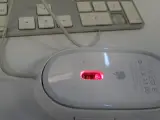 Apple iMac G4 " bolletje" met toetsenbord en muis – foto 18 – kavel bij De Kringwinkel, Oostende