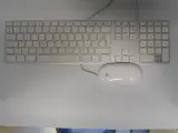 Apple iMac G4 " bolletje" met toetsenbord en muis – foto 20 – kavel bij De Kringwinkel, Oostende