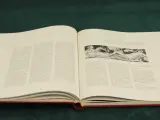 Galerie de la Peinture - 3-delige kunstboeken set – foto 5 – kavel bij De Kringwinkel, Antwerpen