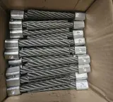 Doos met 60 stuks onkruidborstels | Vierkant 21,4 mm, voor o.a. Ariëns, Limpar, Meclean – foto 2 – kavel bij Onlineveilingmeester, Raalte