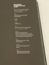 Schorem - Jelle Mollema – Trichis Publishing – foto 4 – kavel bij De Kringwinkel, Antwerpen