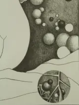 Pierre Dewinter (1935–2013) – Tweeluik litho's vrouwelijke naakt – foto 17 – kavel bij De Kringwinkel, Antwerpen