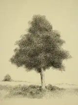 Metten Koornstra (1912–1978) – lithografie, épreuve d'artiste, 1975 – foto 4 – kavel bij De Kringwinkel, Antwerpen
