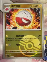 Groot Pokémon verzamel lot – TCG kaarten, tins, Pikachu knuffel, DVD’s, Pokémon GO & accessoires – foto 13 – kavel bij De Kringwinkel, Antwerpen