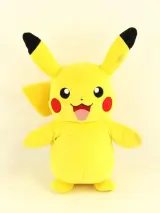 Groot Pokémon verzamel lot – TCG kaarten, tins, Pikachu knuffel, DVD’s, Pokémon GO & accessoires – foto 16 – kavel bij De Kringwinkel, Antwerpen