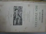 Oud boek over insecten van Emile Blanchard – foto 5 – kavel bij De Kringwinkel, Diest