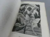 Oud boek over insecten van Emile Blanchard – foto 8 – kavel bij De Kringwinkel, Diest