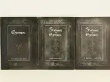 Shadows of Esteren RPG - Luxe Kickstarter set met Fearil en travels box – foto 2 – kavel bij De Kringwinkel, Antwerpen