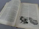 Oud medisch naslagwerk Larousse Médical Illustré uit 1935 – foto 8 – kavel bij De Kringwinkel, Diest