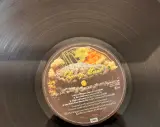 Iron Maiden Platen – foto 12 – kavel bij De Kringwinkel, Aalst
