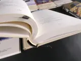 De Morgen – Bibliotheek van de Wereldpoëzie (20-delige Reeks) – foto 13 – kavel bij De Kringwinkel, Heverlee