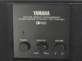 Yamaha YST-SW120 Actieve Subwoofer - 100W – foto 2 – kavel bij De Kringwinkel, Heverlee