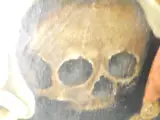 Restauratieobject - 19e-eeuwse Vanitas / Memento Mori – Naar Luigi Miradori (Il Genovesino) – foto 7 – kavel bij De Kringwinkel, Heverlee