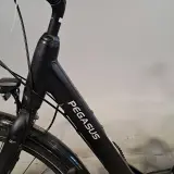 Damesfiets, Pegasus, Lucca – foto 3 – kavel bij Domeinen Roerende Zaken, Groningen