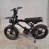 Fatbike, La Souris, V20, 2024 – foto 2 – kavel bij Domeinen Roerende Zaken, Groningen