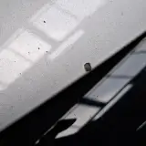 Personenauto, Renault, Megane, 2019 – foto 17 – kavel bij Domeinen Roerende Zaken, Soesterberg