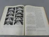 Boek geschiedenis voetbal in België en Congo – foto 8 – kavel bij De Kringwinkel, Diest
