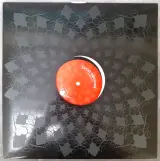 Vinyl: Lot van 11 Minimal & Microhouse Maxi Singles – foto 22 – kavel bij De Kringwinkel, Gent
