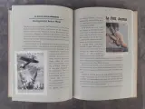 Boek: Wandelen Door Gent 1913-1918 - Van Wereldtentoonstelling Tot Wereldoorlog – foto 4 – kavel bij De Kringwinkel, Gent