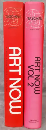 Boek: Art Now volume 1 & 2 – foto 2 – kavel bij De Kringwinkel, Gent