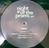 Vinyl: 40 Years Night Of The Proms limited edition – foto 4 – kavel bij De Kringwinkel, Gent