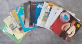 Vinyl: Lot van 13 Eurosong singles (45 rpm) – foto 2 – kavel bij De Kringwinkel, Gent