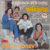 Vinyl: Lot van 13 Eurosong singles (45 rpm) – foto 9 – kavel bij De Kringwinkel, Gent