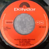 Vinyl: Lot van 13 Eurosong singles (45 rpm) – foto 10 – kavel bij De Kringwinkel, Gent