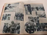 Boek Le patriot Illustre – foto 9 – kavel bij De Kringwinkel, Herzele
