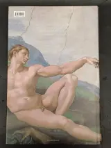 Boek Michelangelo 'Leven en Werk' – foto 2 – kavel bij De Kringwinkel, Ninove