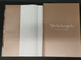 Boek Michelangelo 'Leven en Werk' – foto 3 – kavel bij De Kringwinkel, Ninove