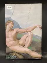 Boek Michelangelo 'Leven en Werk' – foto 8 – kavel bij De Kringwinkel, Ninove