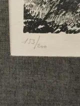 Gesigneerde en genummerde kunstdruk van Frans Minnaert – foto 4 – kavel bij De Kringwinkel, Ninove