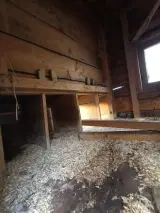 Kippenhok – foto 7 – kavel bij Onlineveilingmeester, Assen