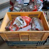 Assortiment bouwbenodigdheden – foto 8 – kavel bij Onlineveilingmeester, Smilde