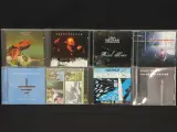 31 rock Cd's – o.a. Gentle giant, Frank zappa, Sonic Youth, Captain Beefheart enz – foto 3 – kavel bij De Kringwinkel, Antwerpen