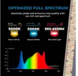 5x LED Kweeklamp 200W Full Spectrum, Cannalights, 2147483647, grijs – foto 4 – kavel bij Onlineveilingmeester