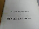 Boek natuurlijke geschiedenis der gewervelde dieren – foto 4 – kavel bij De Kringwinkel, Diest