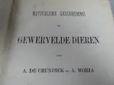 Boek natuurlijke geschiedenis der gewervelde dieren – foto 5 – kavel bij De Kringwinkel, Diest